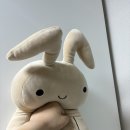 2024 가을 일상 🍂