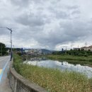 세븐일레븐양양하조대점 이미지