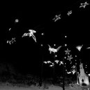달빛,정원(Moonlight Garden) 이미지
