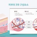 스킨이너뷰티 이미지