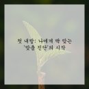 늘 건강한 한의원 | 20대 후반, 30대 초반 남자도 반한 &#39;건강한 다이어트&#39; 한의원 리얼 후기!