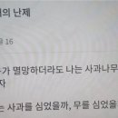 사과나무맛집