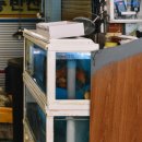 동이네집 이미지