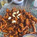 지코바신가점 | 술을 부르는 강남 맛집 [ 온달집 ]을 소개합니다