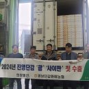 명품진영단감
