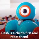 파프리카유치원 이미지