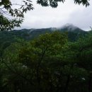 CU 옥천대로점 Daum카페