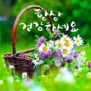 🌺🍒 야곱과 에서가 화해하다 이미지