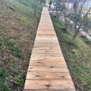 오차드 123 이미지