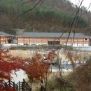 명품관 이미지
