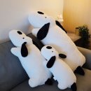 주식회사 벨라이지