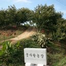 평장농장 Daum카페
