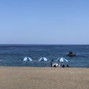 위드목장 이미지