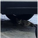 대진수산 | 전주 대진수산 참돔 포장 전문집 후기