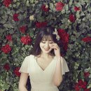 247스튜디오 이미지