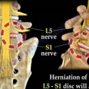 닥터조제통외과의원 이미지