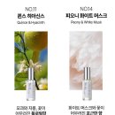 본니치와