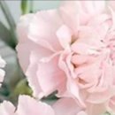 리빙골드레지던스 이미지