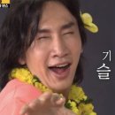 봄강아지 이미지