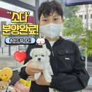 야옹아 멍멍해봐 계림점 이미지