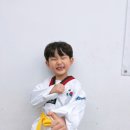 진스태권도장 이미지