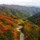 헤리티스 이미지