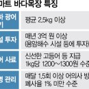 바다목장 이미지