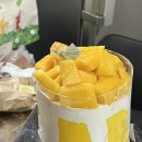 성심당 케익부띠끄 망고시루 주말 웨이팅 후기 구매하는법
