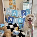 오븐앤도그 이미지