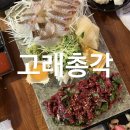 청주 모충동 맛집 l 고래총각 서원대학교 횟집 해산물 육회까지 다녀온 후기