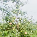 경호농장 이미지