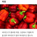 날것으로 먹어야 몸에 더 좋은 음식 5 이미지