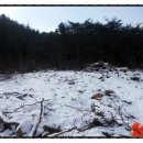 꾸지뽕농장민박 이미지