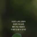 플렉스 펜션 이미지
