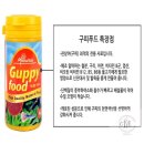 민스타푸드