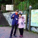 동작충효길 2코스 현충원길 이미지