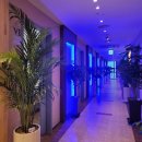 태진한우 이미지