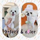 88개발소 이미지