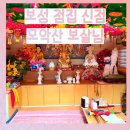 보성핸드폰 이미지