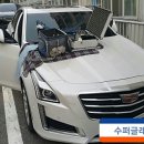 통진차유리 이미지