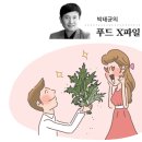 ＜박태균의 푸드 X파일＞쑥, 혈액순환·간 건강에 탁월한 효과 이미지