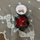 헬로반디 | [제주][숙소] 여름휴가, 3박 4일 ✈️제주도 여행 &amp; 사장님의 ❤️사랑은 덤:에어비앤비 독채 🫶 &#39;제주 올래&#39;