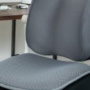 허리나 연구소 | 바디연구소 허리쿠션 꼼꼼 체험기, 가족 모두 만족한 등받이쿠션 후기