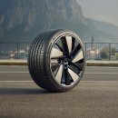 이형진타이어