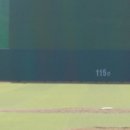 남해스포츠파크 야구장 이미지