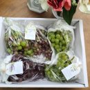 전북개별환경 이미지