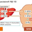 아나스트로졸 vs 카페시타빈 항암제 이미지