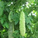 박재도농장 이미지