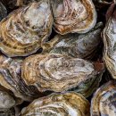 대왕푸드 이미지