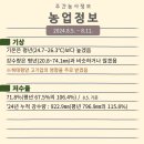 머니트리국립식량과학원 | 8월 셋째주 주간농사정보